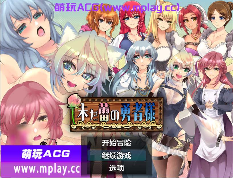 [电脑PC+安卓/日系RPGAIGPT汉化]未だ蕾の勇者様 未开花的勇者大人1.0[2.38G]-萌玩ACG